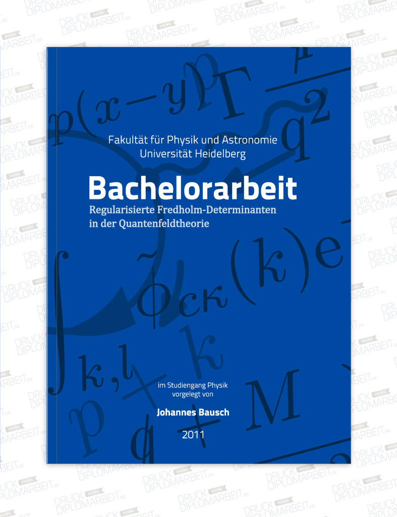 Bachelorarbeit von Johannes Bausch.